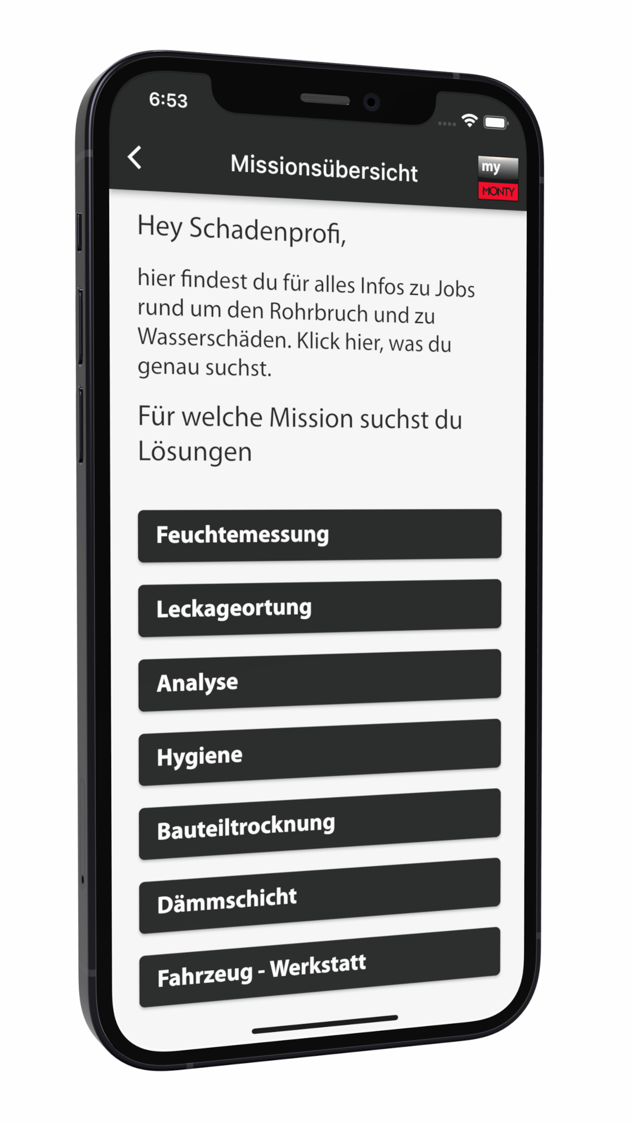 MyMonty — Missionsübersicht mit Themen zur Wasserschadensanierung auf dem iPhone